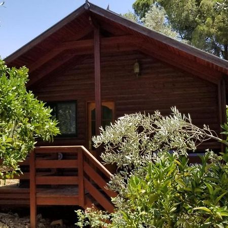 埃米瑞姆氛围山林小屋 外观 照片