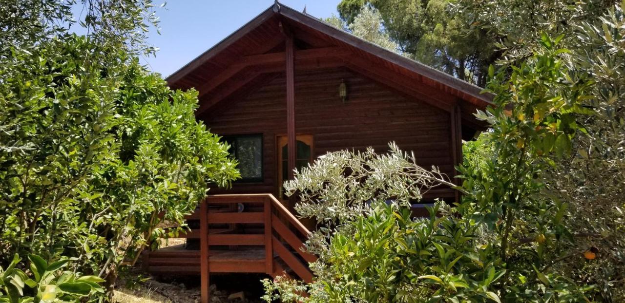 埃米瑞姆氛围山林小屋 外观 照片