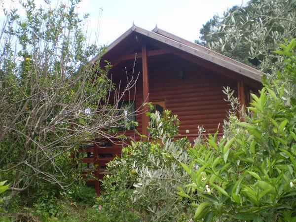 埃米瑞姆氛围山林小屋 客房 照片