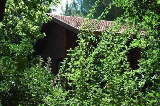 埃米瑞姆氛围山林小屋 外观 照片