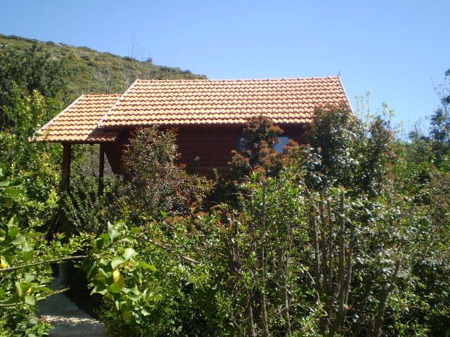埃米瑞姆氛围山林小屋 外观 照片