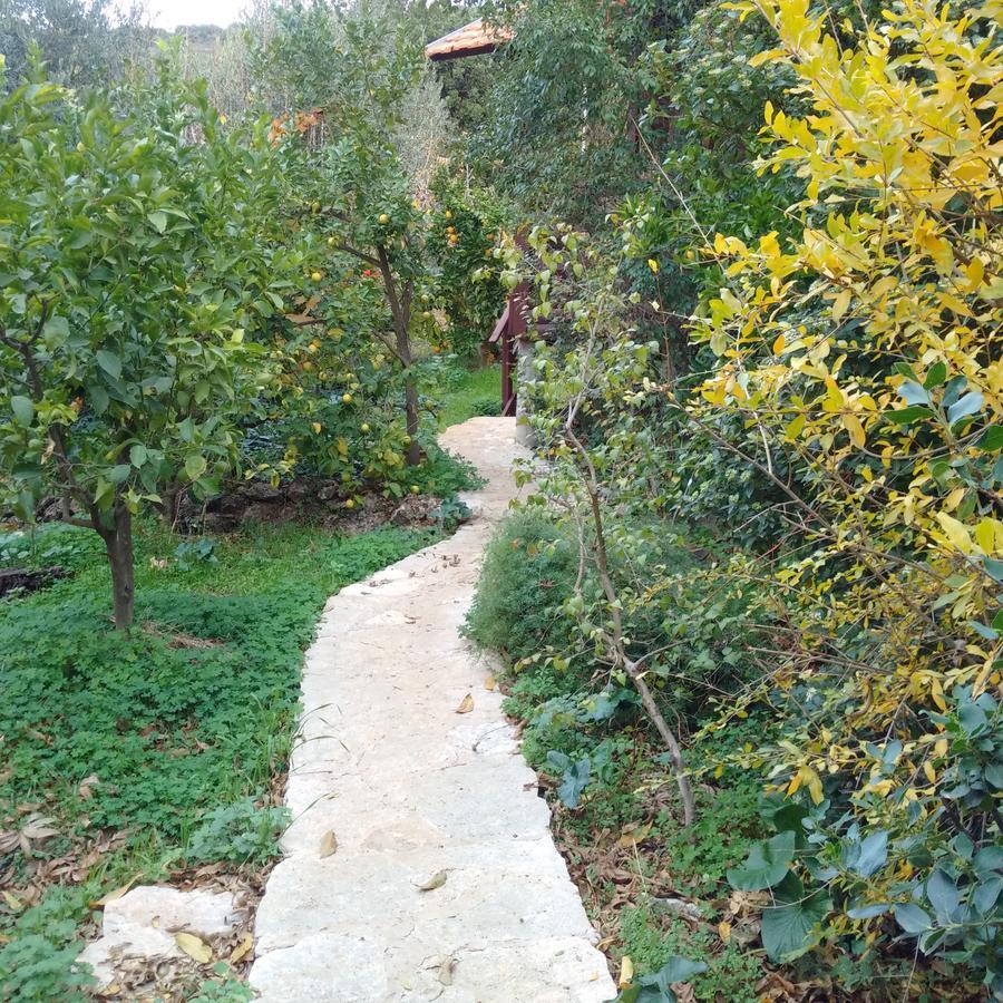 埃米瑞姆氛围山林小屋 外观 照片