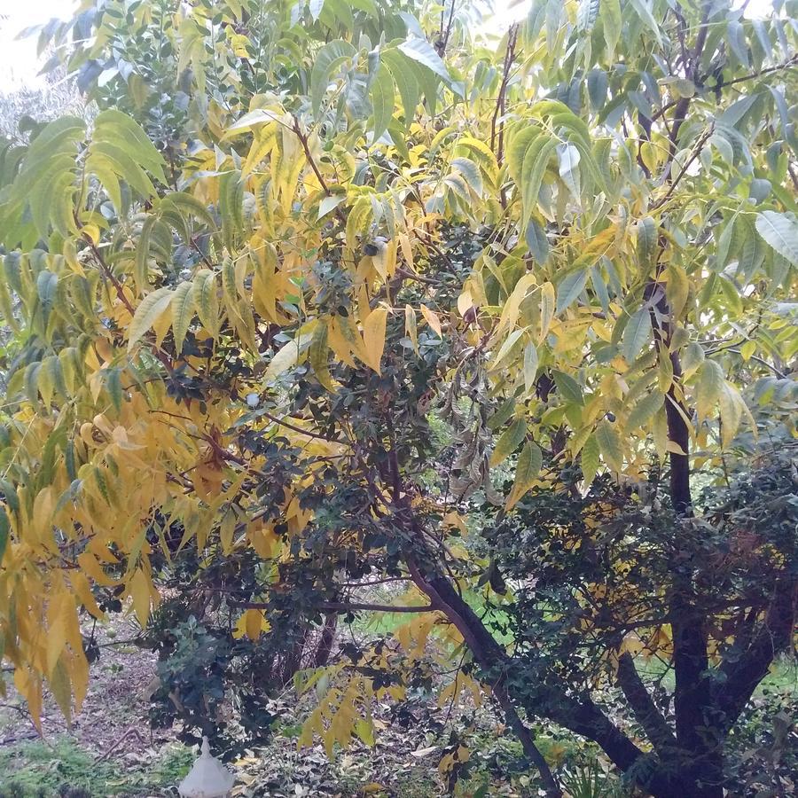 埃米瑞姆氛围山林小屋 外观 照片